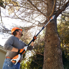 Perche d'élagage à batterie STIHL HTA 50 PACK