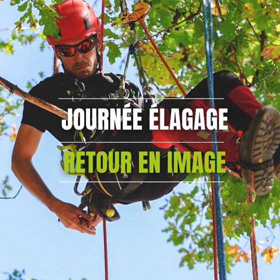 Journée élagage